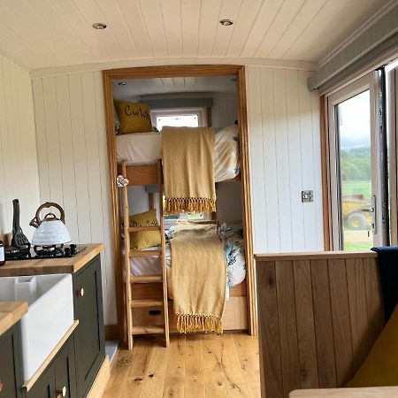 Cwtch Cader Shepherds Hut Llanelltyd Zewnętrze zdjęcie